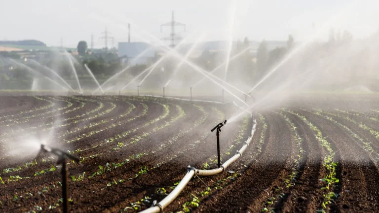 watering and irrigating a field