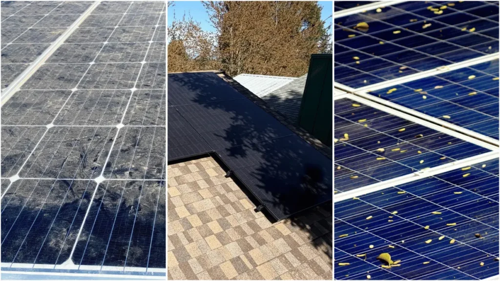 Solar panels that are dirty, dusty, shaded, and covered in leaves.