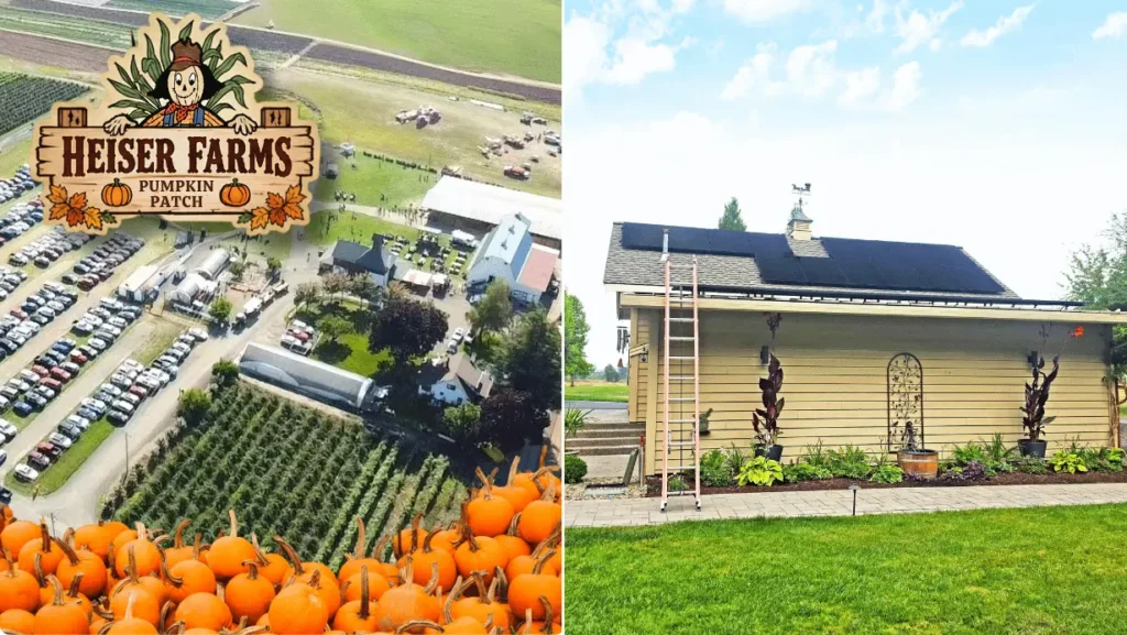 Solar panels on roof of farm house in Dayton, Oregon. Solar panels for Heiser Farms Pumpkin Patch.
